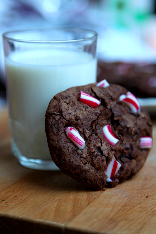 :: Chocolate Candy Cane Cookies