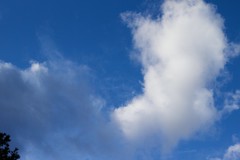Anglų lietuvių žodynas. Žodis cloud up reiškia debesis iki lietuviškai.