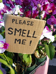 Smell Me Sign