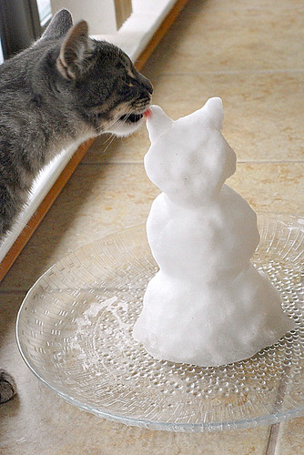 Snow Cat 2
