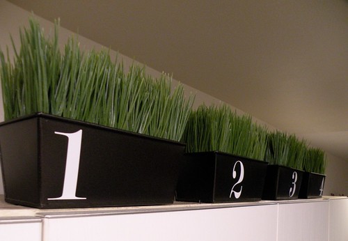 Wheatgrass numbered containers