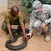 U.S. Army Africa NCOs mentor staff operations in Botswana - March 2010
