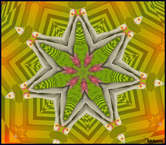 Kaleidoscope