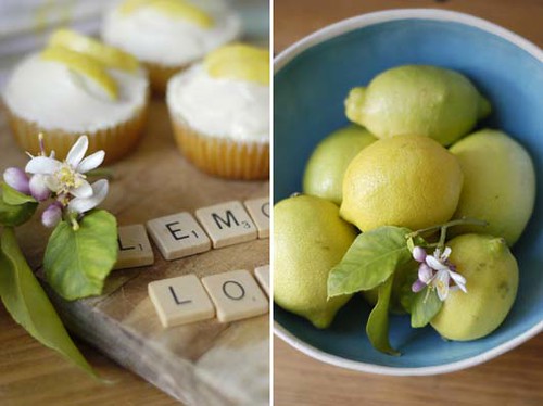 Lemon cupcakes 3