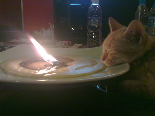 look at my little kitten sleep in front of the candle. How cool is she???