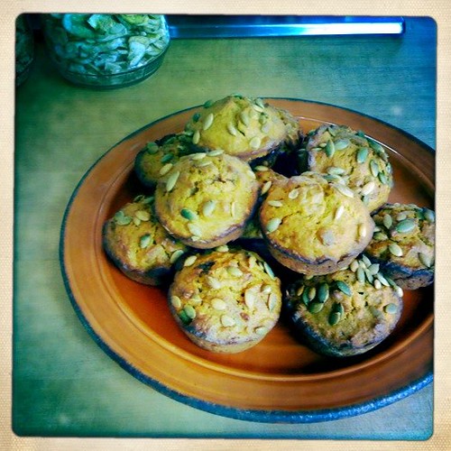 Pumpkin Seed Muffins