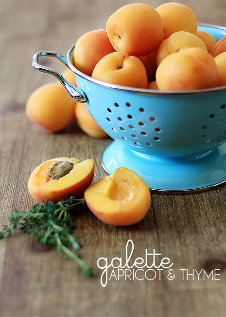Fresh apricots in a bright blue colander. 