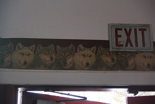 Wolf wallpaper trim
