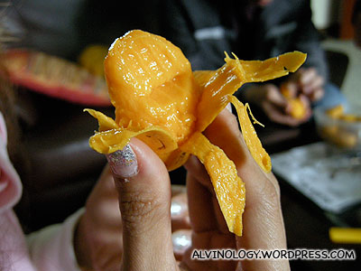 Shantou mini mango