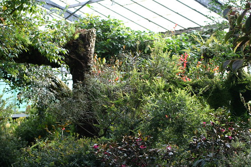 20090919 Edinburgh 20 Royal Botanic Garden 363
