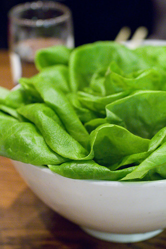 boston lettuce