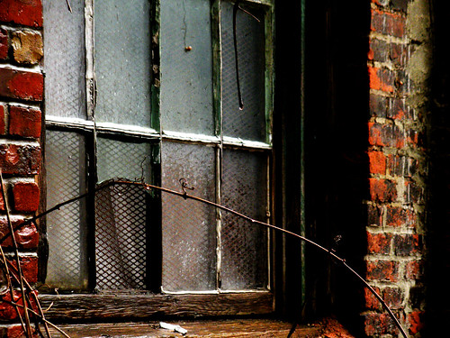 Abandoned Window