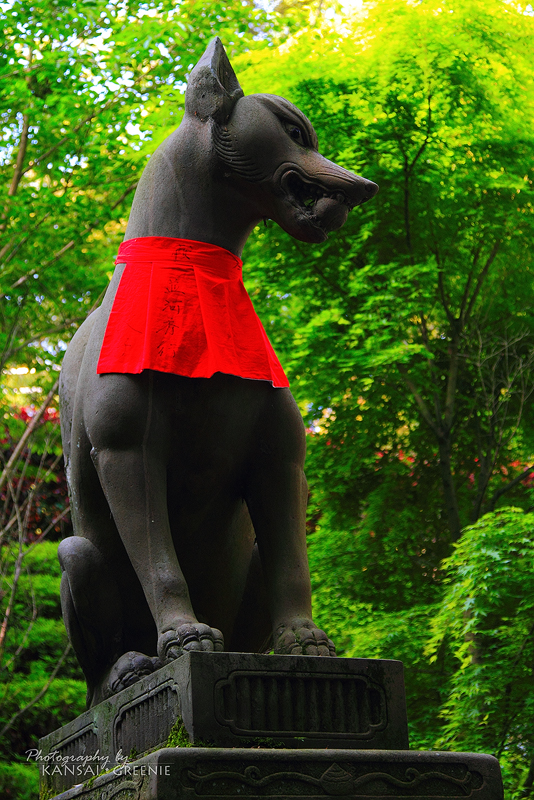 Colored Inari More Red and Green Images | Photography by KansaiGreenie