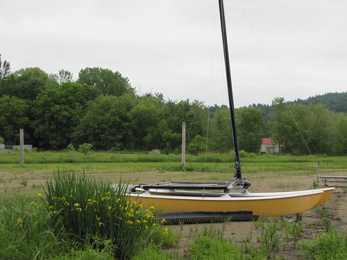 boat and wild irises at Lee Park Beach