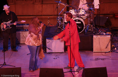 Detroit 2009 Concert of Colors -2