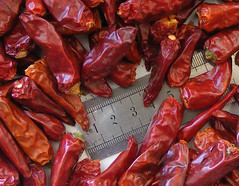 Sichuan Chilipepers