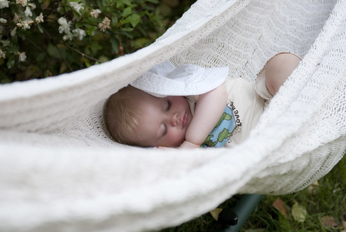 sleeping in the hammock
