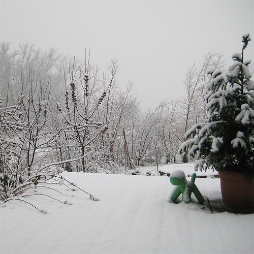 neve, 5,02,010, 1