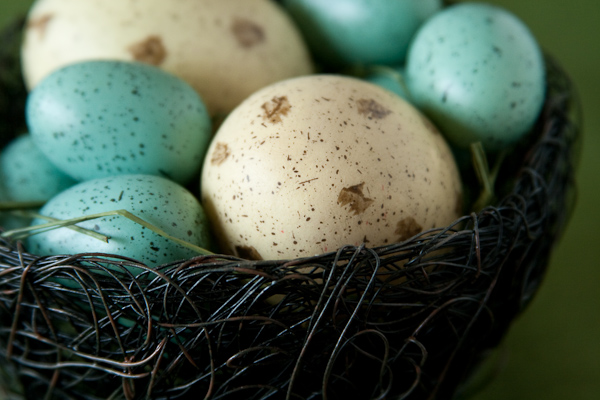 Nest eggs