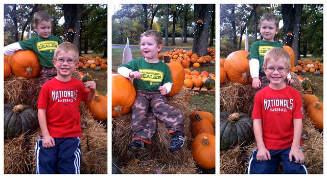 Pumpkin collage 1