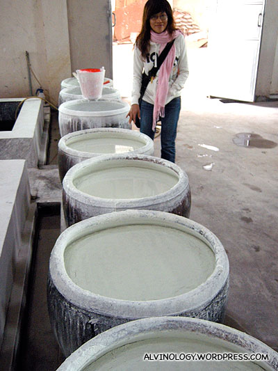 Ceramic powder