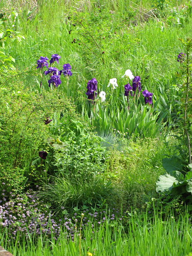 primavera 2010, 3.04.010, 18