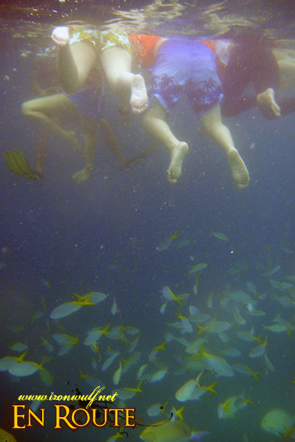 Feet and Fishes at Snake Island