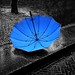 Clair de la lune parapluie blue