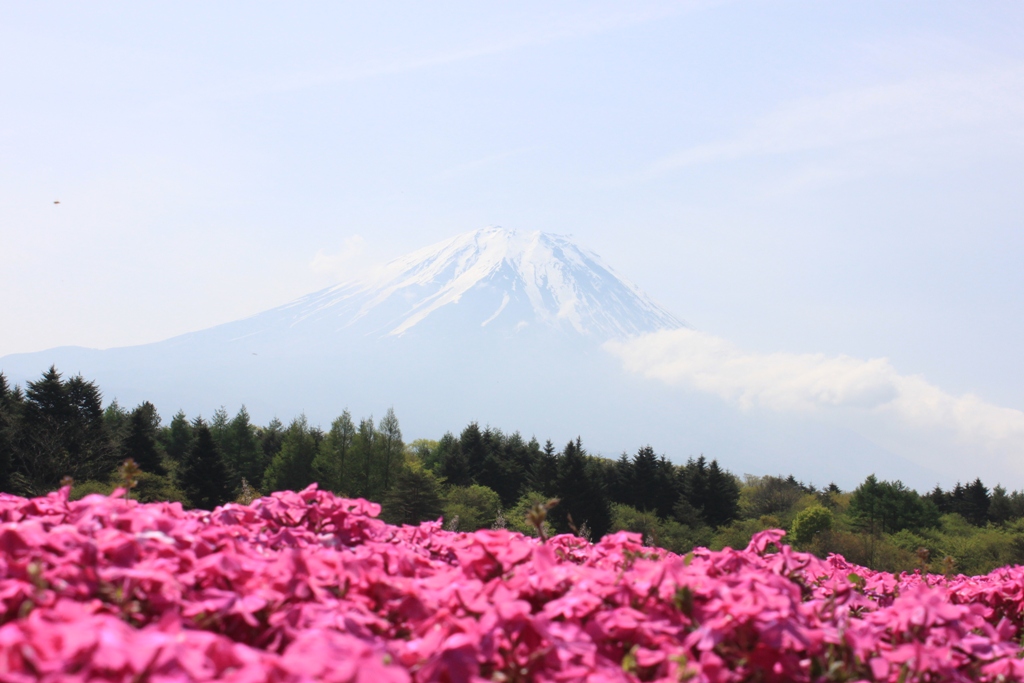 A Japan photo No.112：Mt Fuji drive