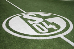 FC Schalke 04, Felix Magath, Guillaume Hoarau, Vincenzo Iaquinta,Robinho, Transfer, Wechsel