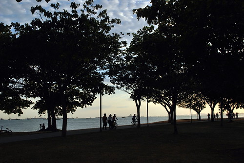 At the Park
