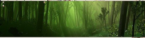 triple-screen desktop in Ubuntu, Karmic Koala