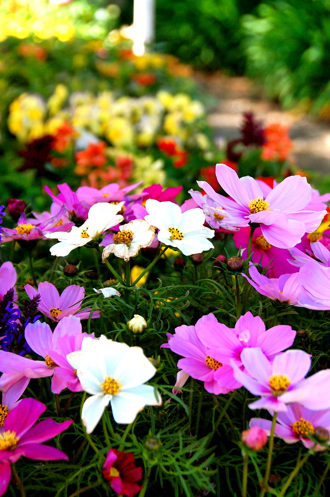 l.a. garden show