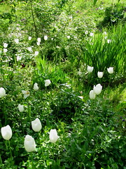 primavera 2010, 3.04.010, 3