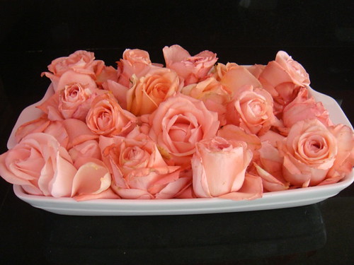 valentine's-ecuador-roses