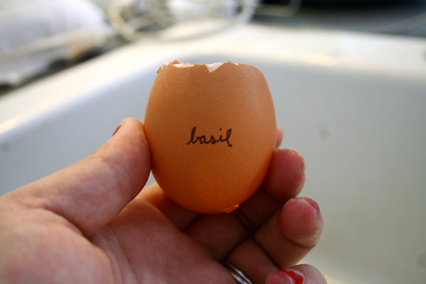 Labeling the Egg