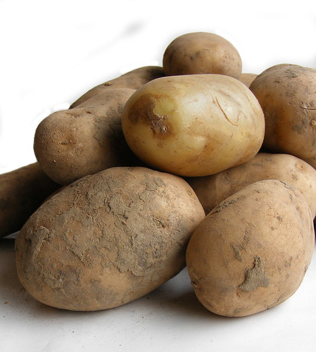 Foto: Aardappel (algemeen)
