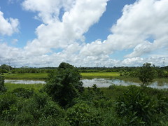 Santa Cruz - La Amazonia