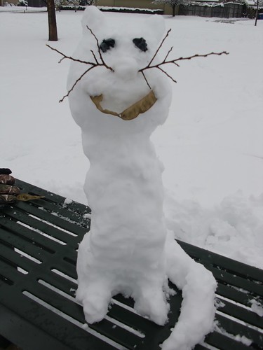Snow Kitty Cat by Melinda Soto