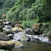 Mountain streams. Xalapa, Mexico • <a style="font-size:0.8em;" href="http://www.flickr.com/photos/62152544@N00/4679115186/" target="_blank">View on Flickr</a>
