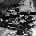 Nạn nhân vụ thảm sát tại Mỹ Lai