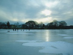 Spy pond - winter
