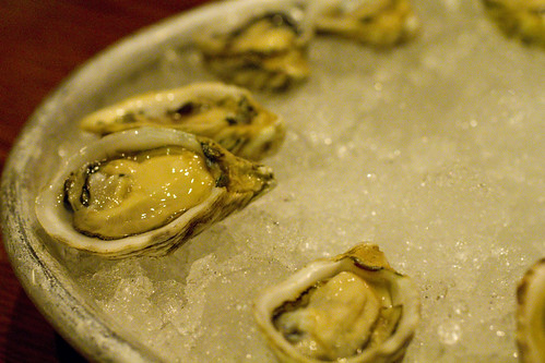 kusshi oysters