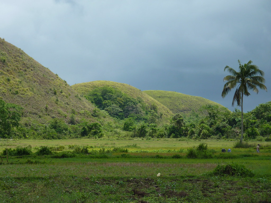 Bohol-Talibon-Chocolate Hills (41)