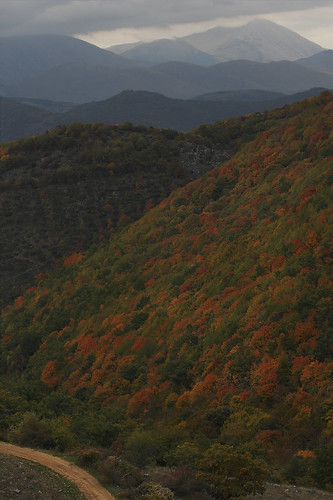 Autumn hillside Marano, Abruzzo