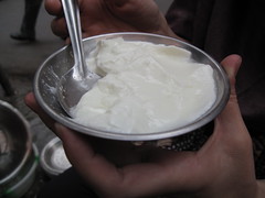 Fresh Buffalo Yogurt - Kolkata, India
