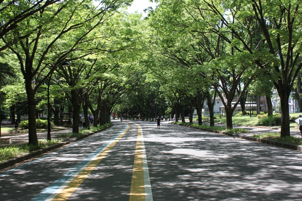 Komazawa Park Walk