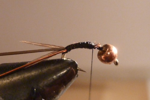 Sickest Bug on the Planet: Tying The Micro Mayfly - Whitefish Can't ...