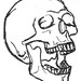 Skull drawings