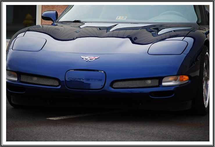 2004 Commemorative Corvette in Lemans Blue Metallic